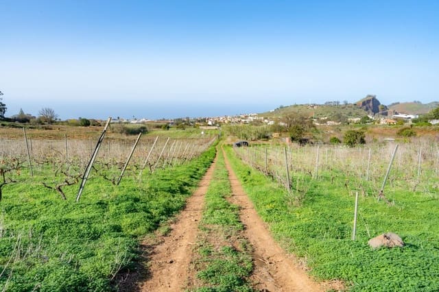 Mark till salu i Tacoronte - 38 896 € (Ref: 8662502)