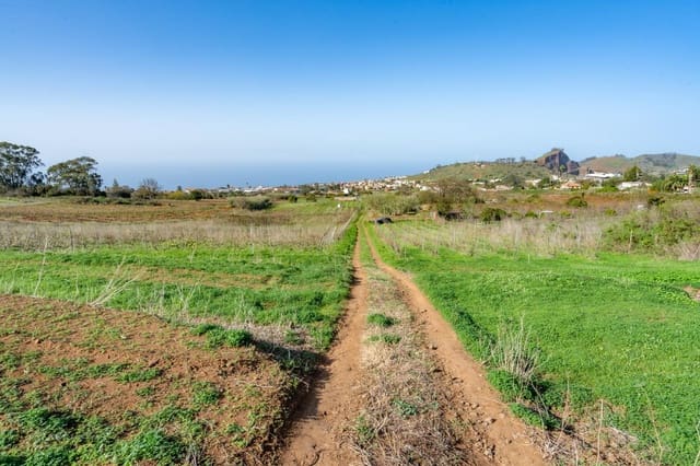 Mark till salu i Tacoronte - 38 896 € (Ref: 8662502)