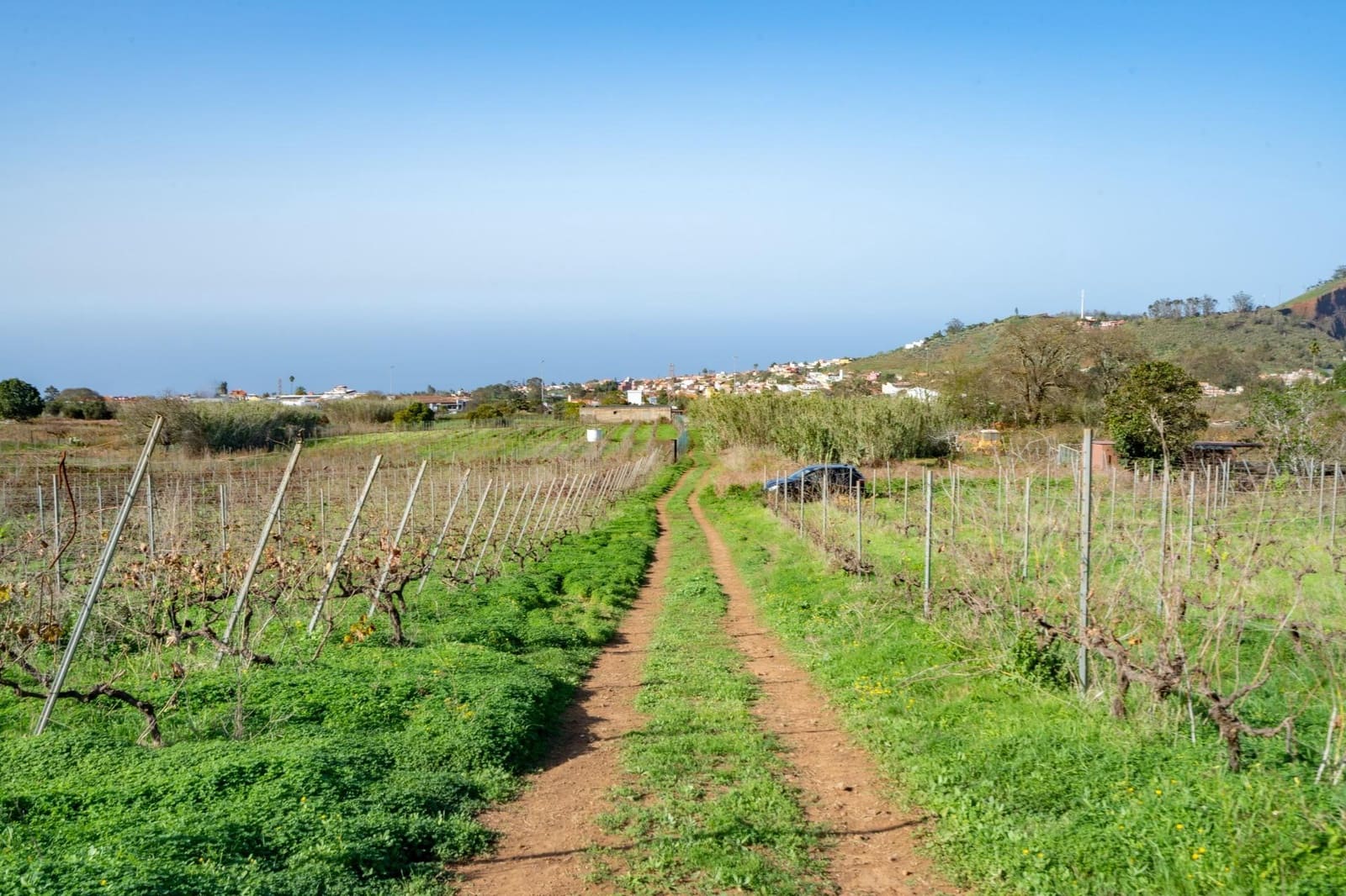 Grunde uden byggetilladelser til salg i Tacoronte - € 38.896 (Ref: 8662502)