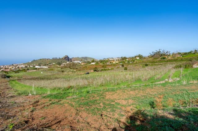 Mark till salu i Tacoronte - 38 896 € (Ref: 8662502)