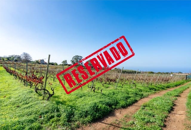 Mark till salu i Tacoronte - 38 896 € (Ref: 8662502)