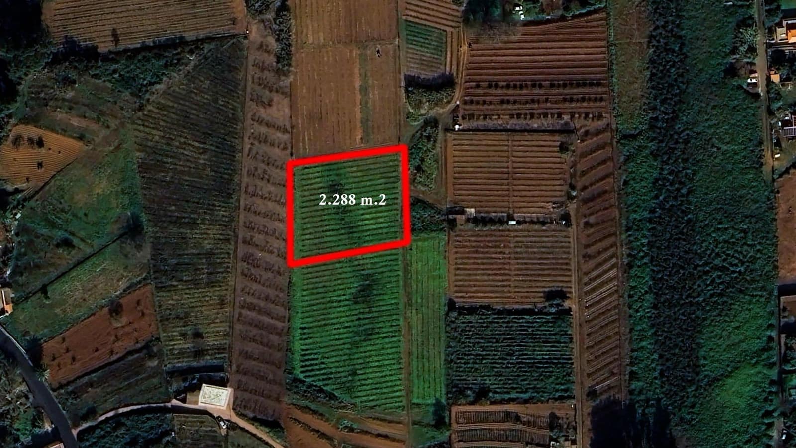 Grunde uden byggetilladelser til salg i Tacoronte - € 38.896 (Ref: 8662502)