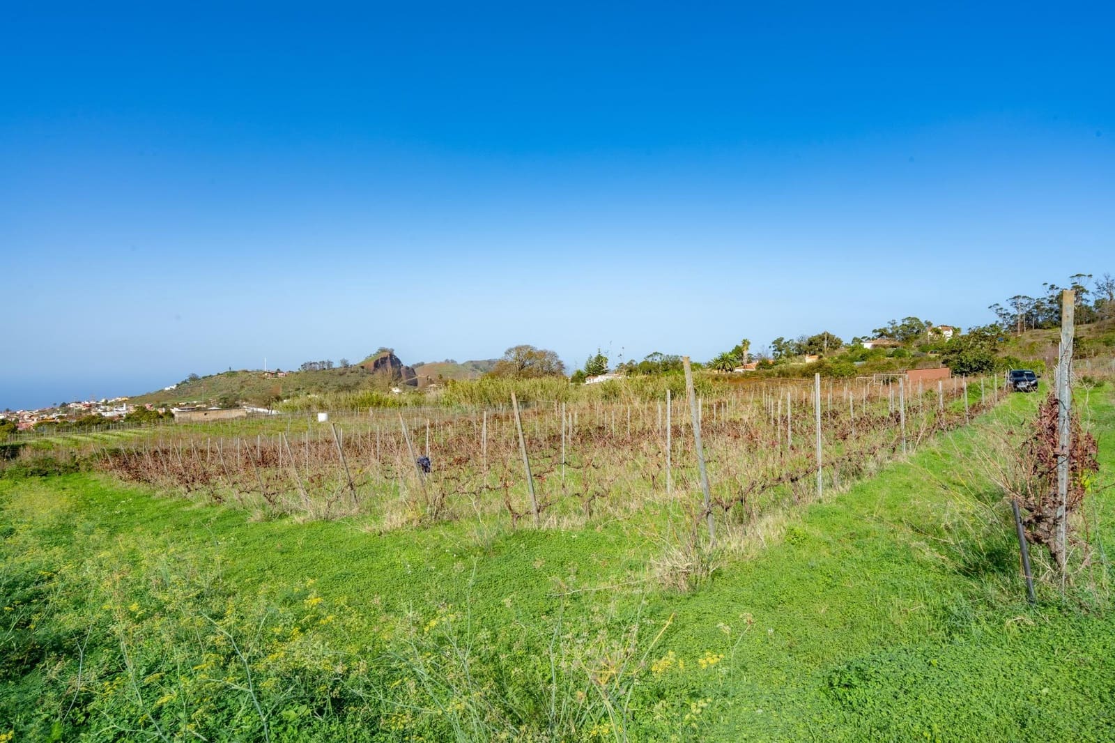 Grunde uden byggetilladelser til salg i Tacoronte - € 38.896 (Ref: 8662502)