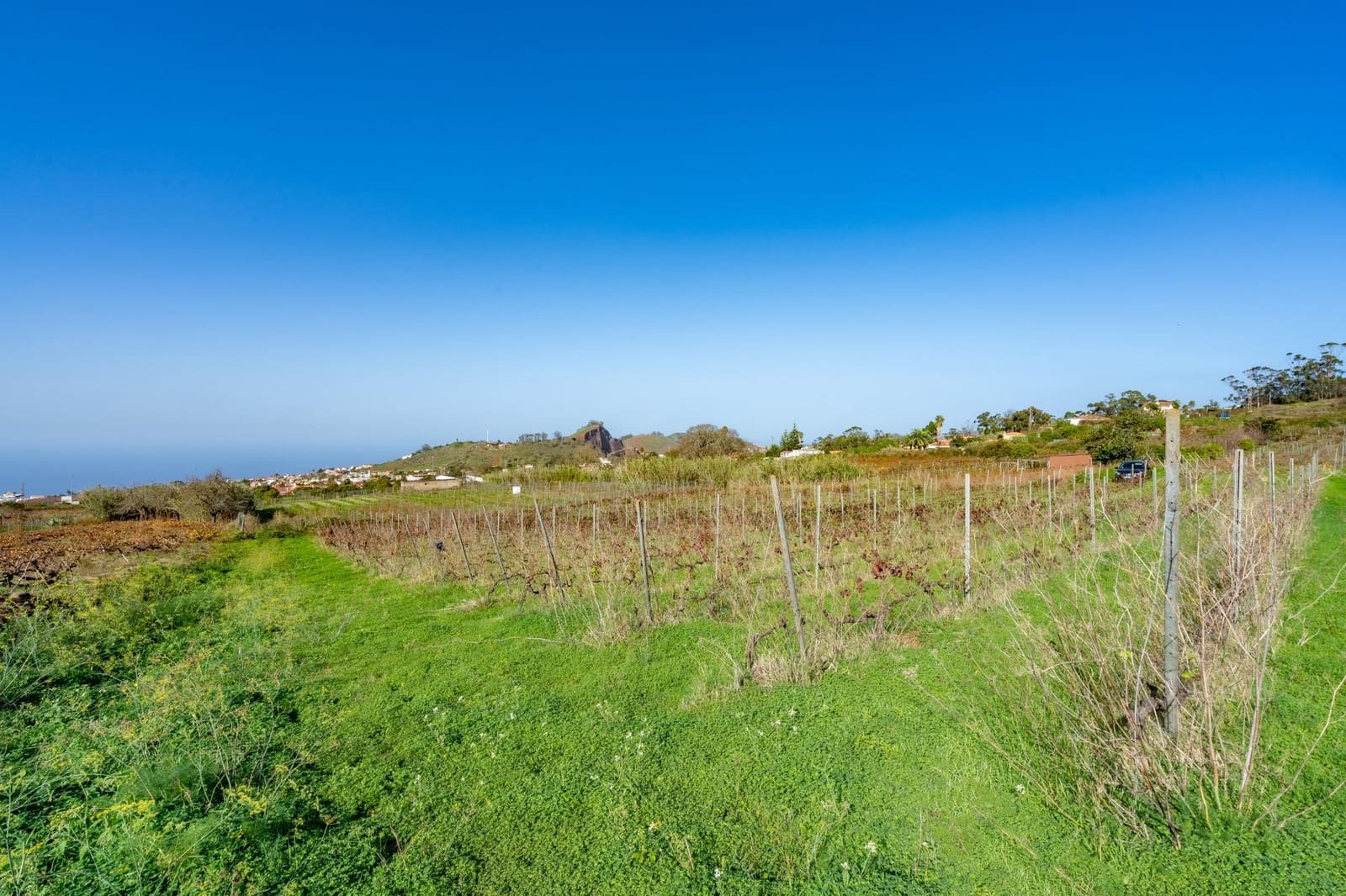 Grunde uden byggetilladelser til salg i Tacoronte - € 38.896 (Ref: 8662502)