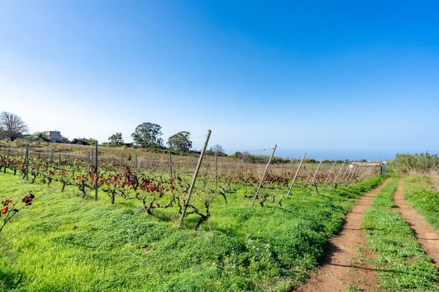 Mark till salu i Tacoronte - 38 896 € (Ref: 8662502)