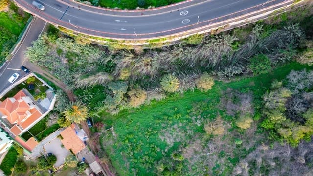 Tomt till salu i Tacoronte - 129 000 € (Ref: 8686223)