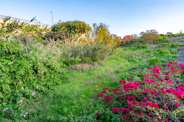 Tomt till salu i Tacoronte - 129 000 € (Ref: 8686223)