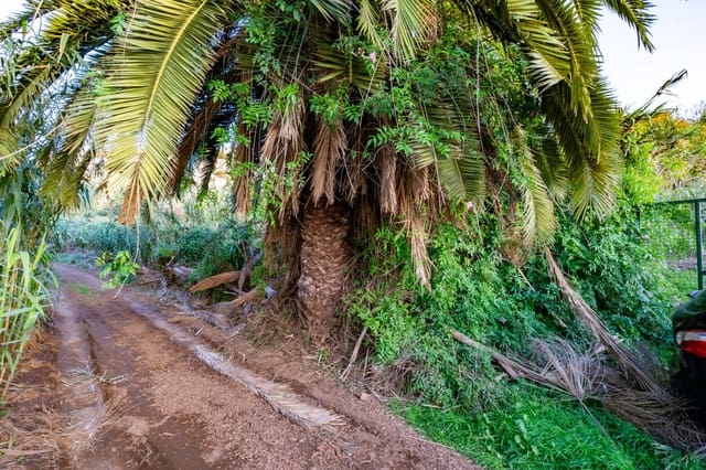 Tomt till salu i Tacoronte - 129 000 € (Ref: 8686223)