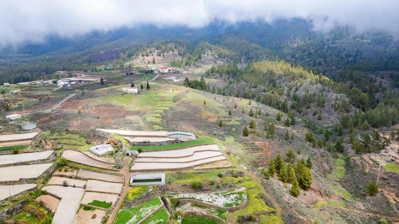 4 soverom Finca/Herregård til salgs i Vilaflor - € 1 200 000 (Ref: 8936666)