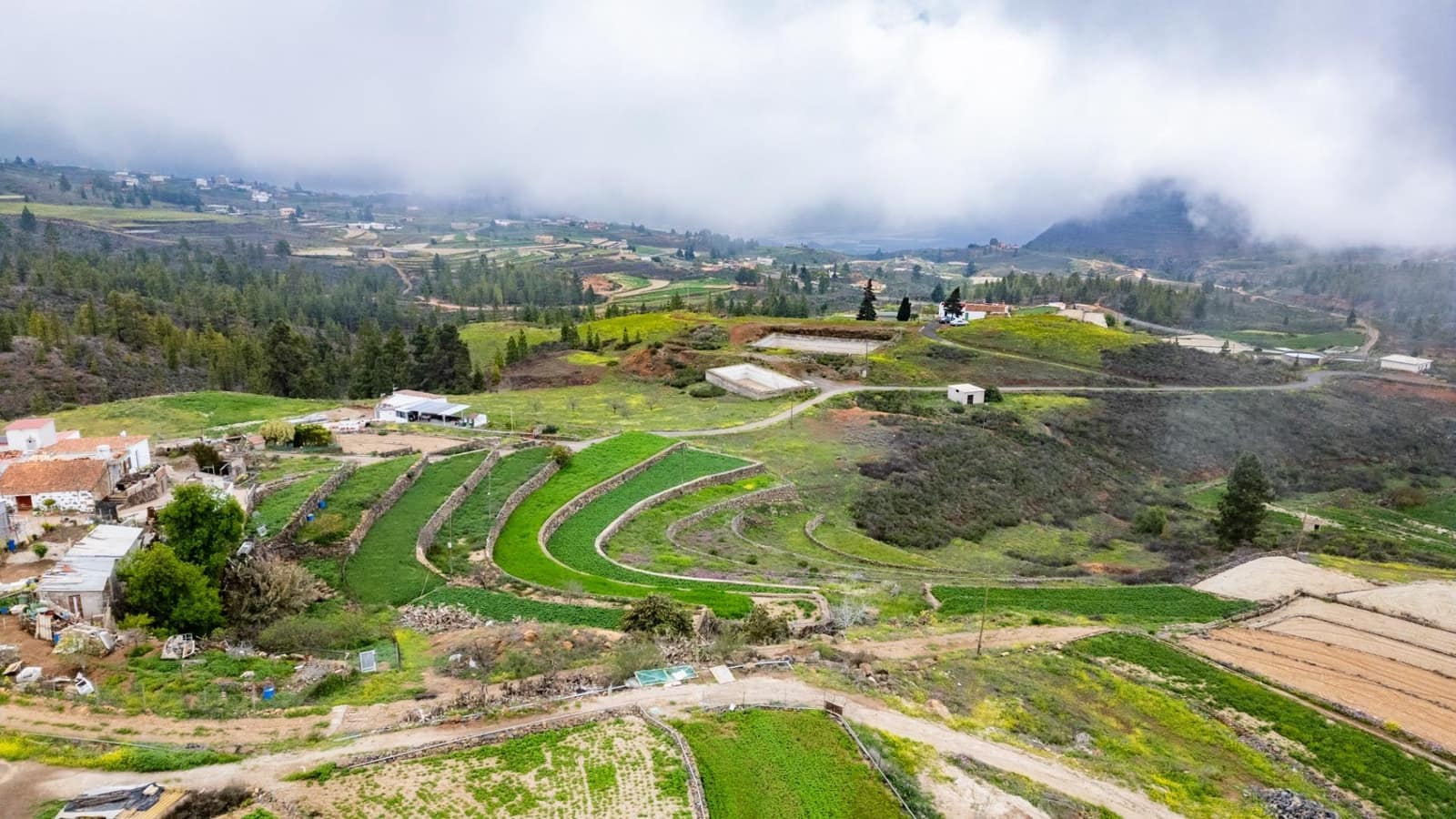 4 soverom Finca/Herregård til salgs i Vilaflor - € 1 200 000 (Ref: 8936666)