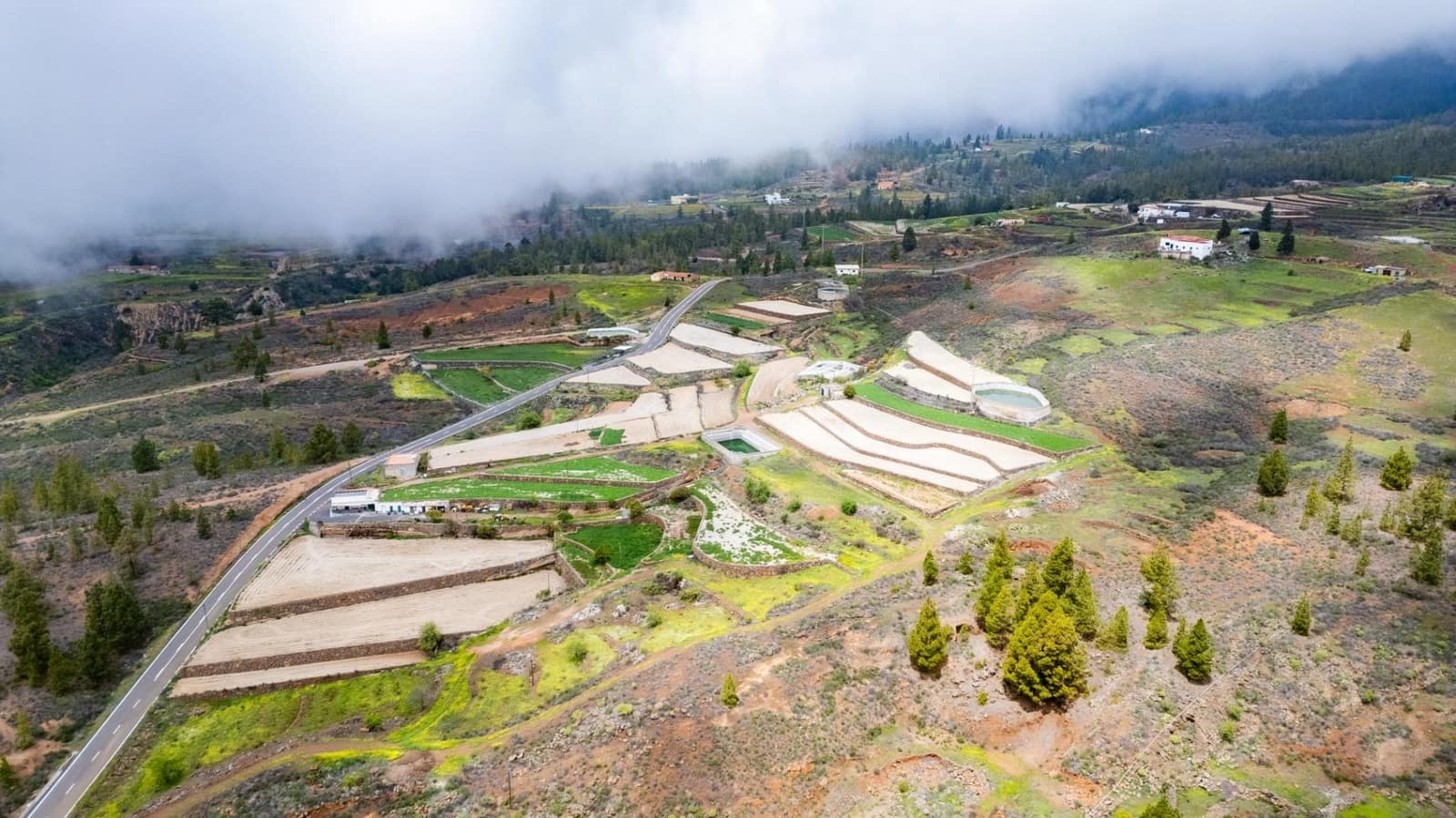 4 soverom Finca/Herregård til salgs i Vilaflor - € 1 200 000 (Ref: 8936666)