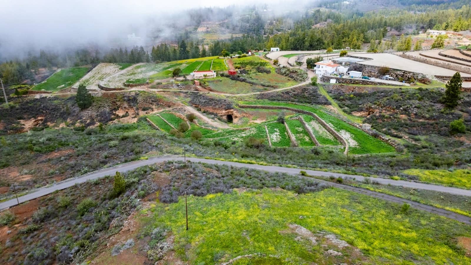 4 soverom Finca/Herregård til salgs i Vilaflor - € 1 200 000 (Ref: 8936666)