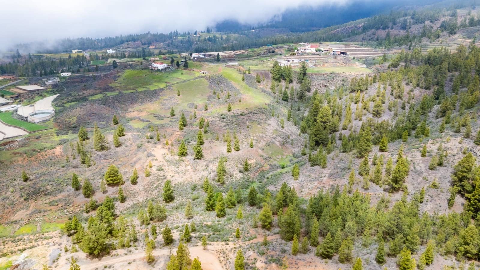 4 soverom Finca/Herregård til salgs i Vilaflor - € 1 200 000 (Ref: 8936666)