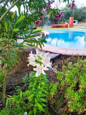 8 bedroom Hotel for sale in Casas del Castañar with pool - € 398,000 (Ref: 8950586)