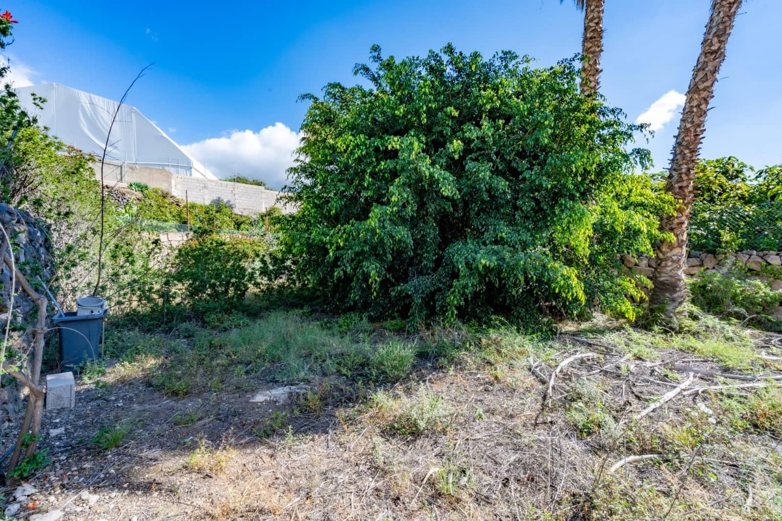 11 sovrum Villa till salu i Guimar med pool - 359 000 € (Ref: 9003068)