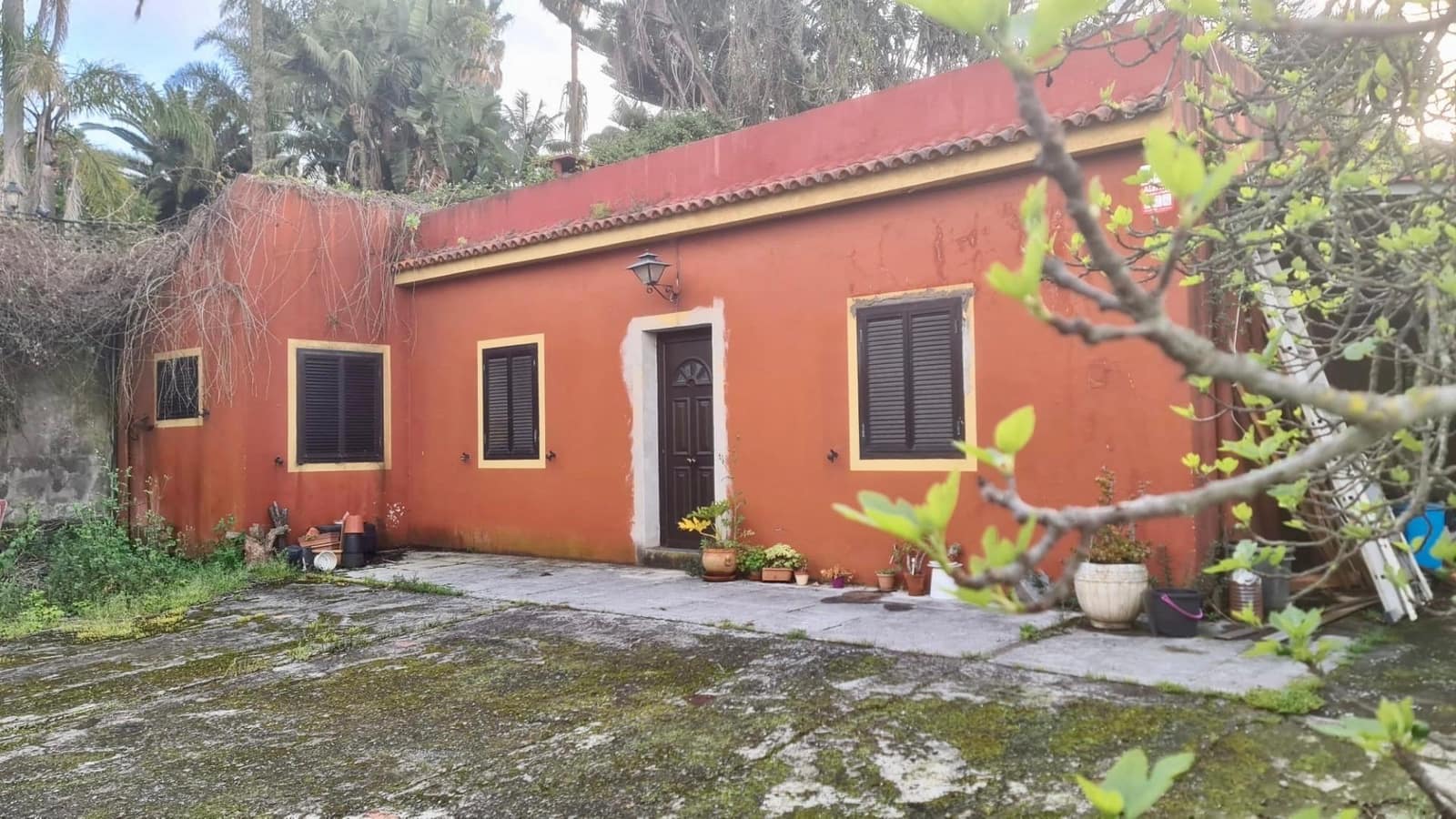 3 soveværelse Finca/Landehus til salg i Tacoronte - € 299.000 (Ref: 9018430)