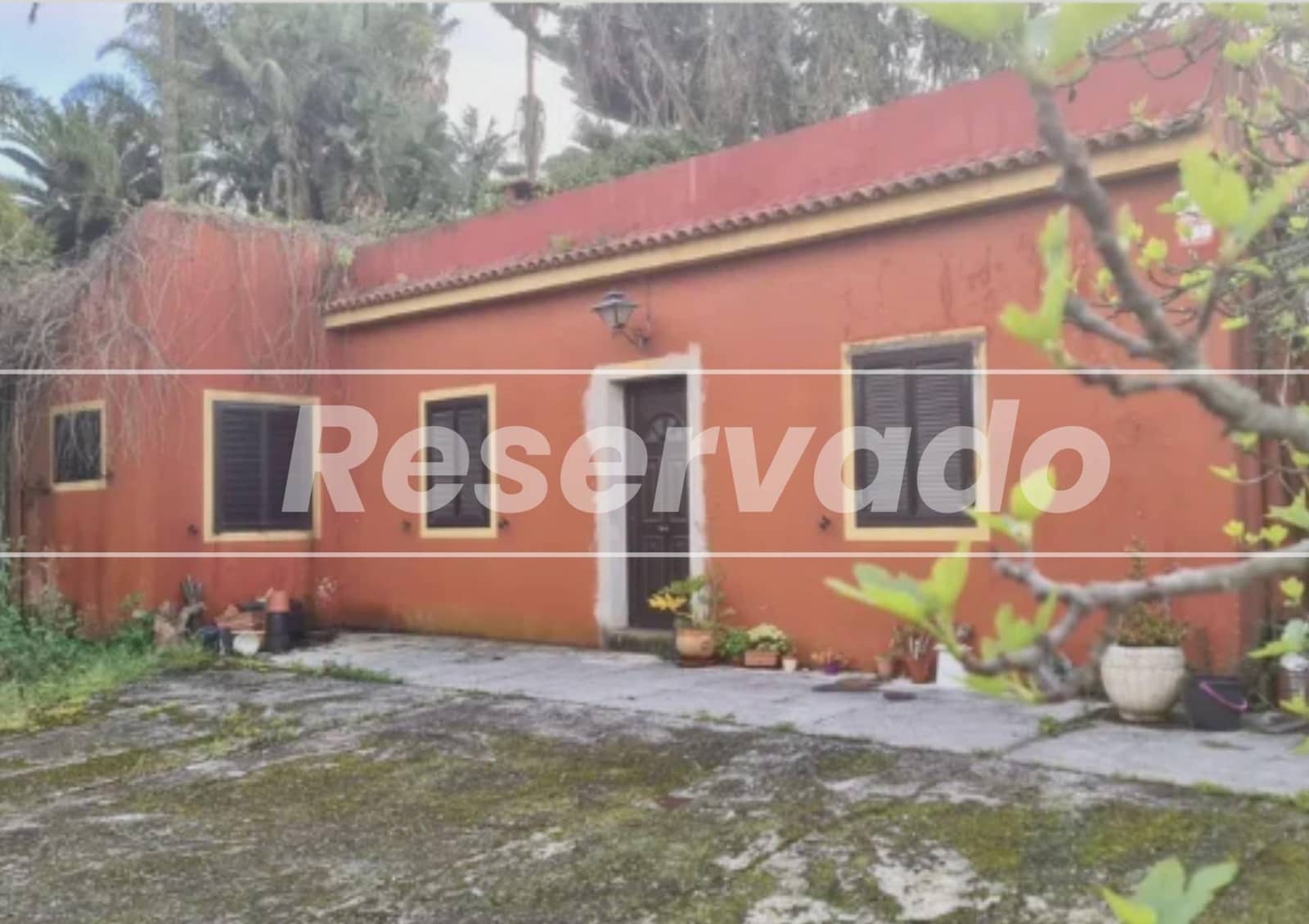 3 soveværelse Finca/Landehus til salg i Tacoronte - € 299.000 (Ref: 9018430)