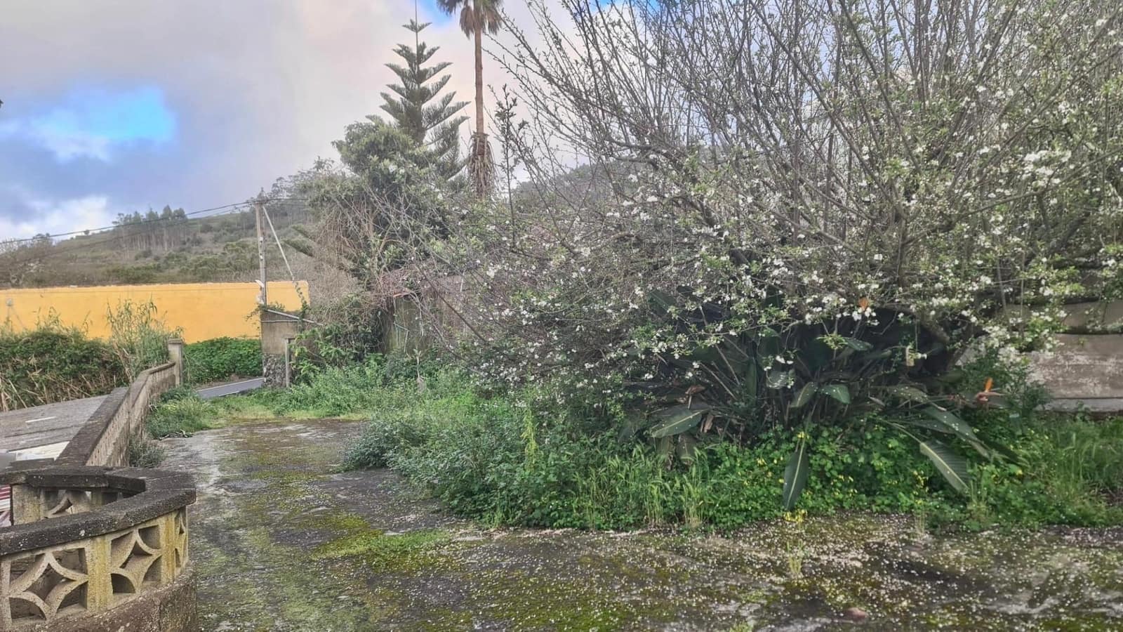 3 soveværelse Finca/Landehus til salg i Tacoronte - € 299.000 (Ref: 9018430)