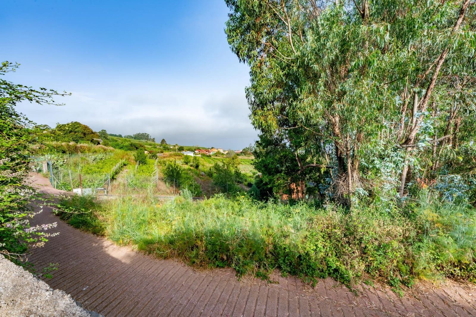 Grond te koop in Tacoronte - € 28.000 (Ref: 9104725)