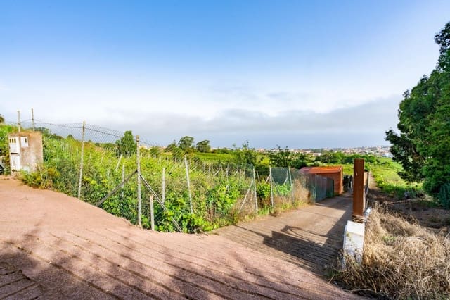 Mark till salu i Tacoronte - 28 000 € (Ref: 9104725)