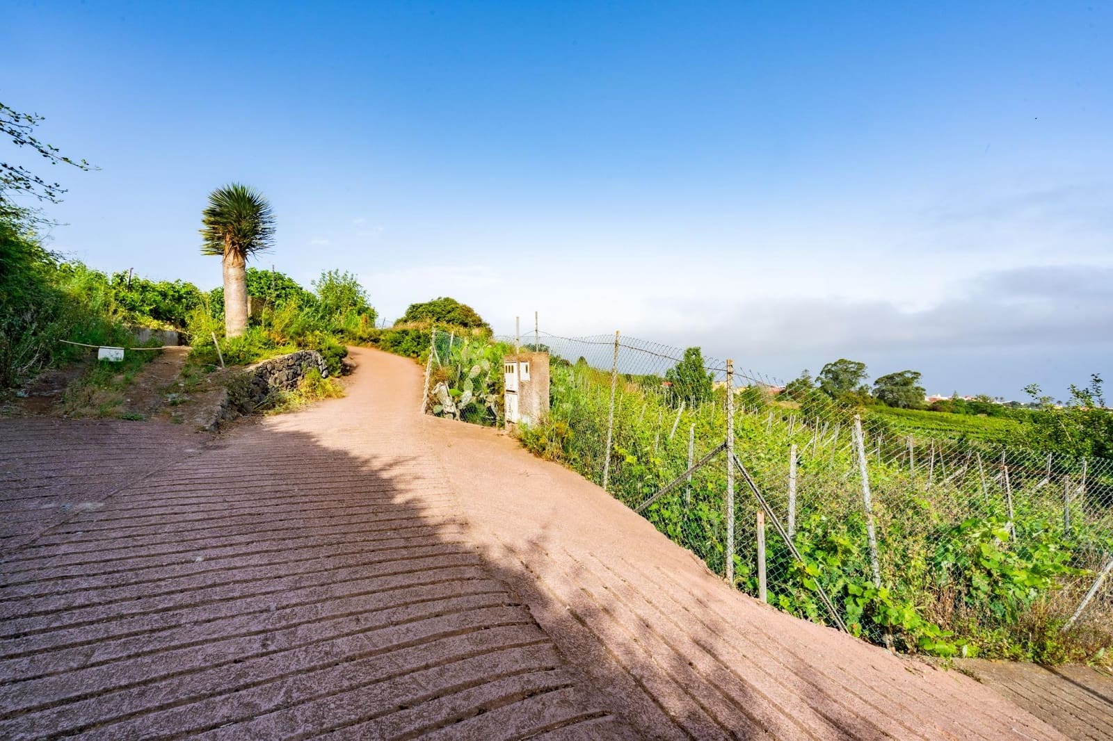 Grond te koop in Tacoronte - € 28.000 (Ref: 9104725)