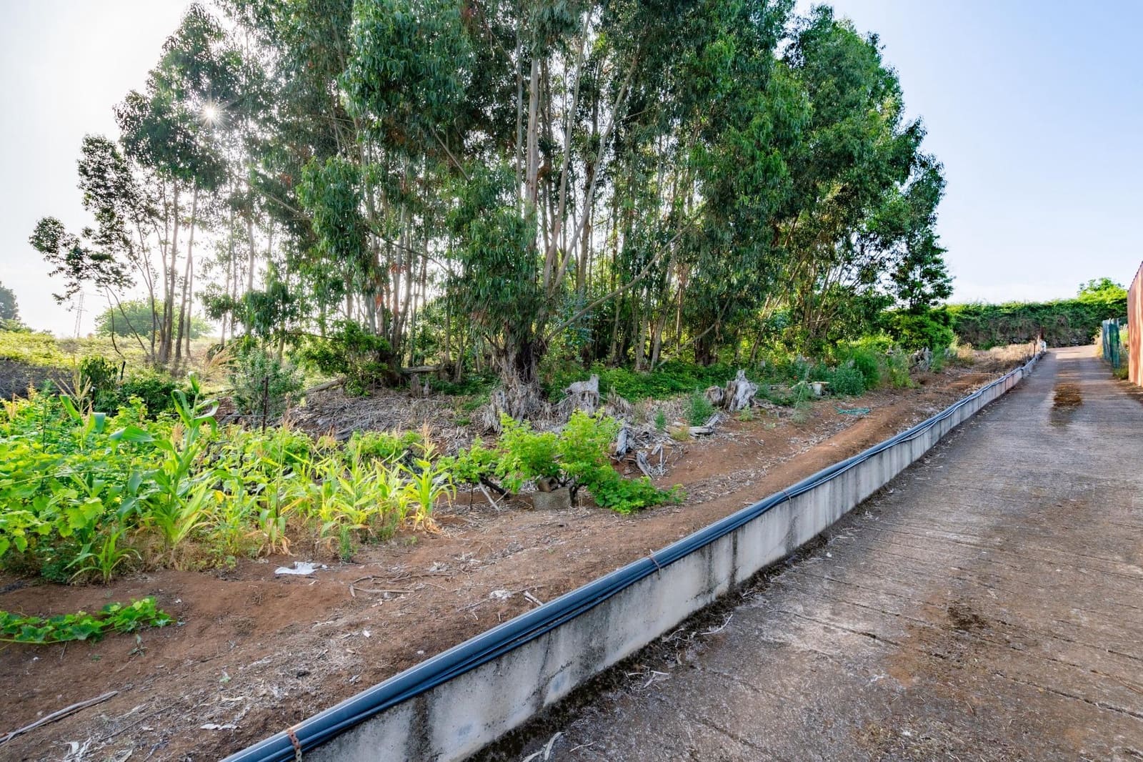 Grond te koop in Tacoronte - € 28.000 (Ref: 9104725)