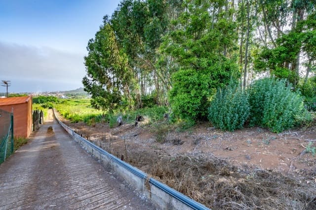 Mark till salu i Tacoronte - 28 000 € (Ref: 9104725)