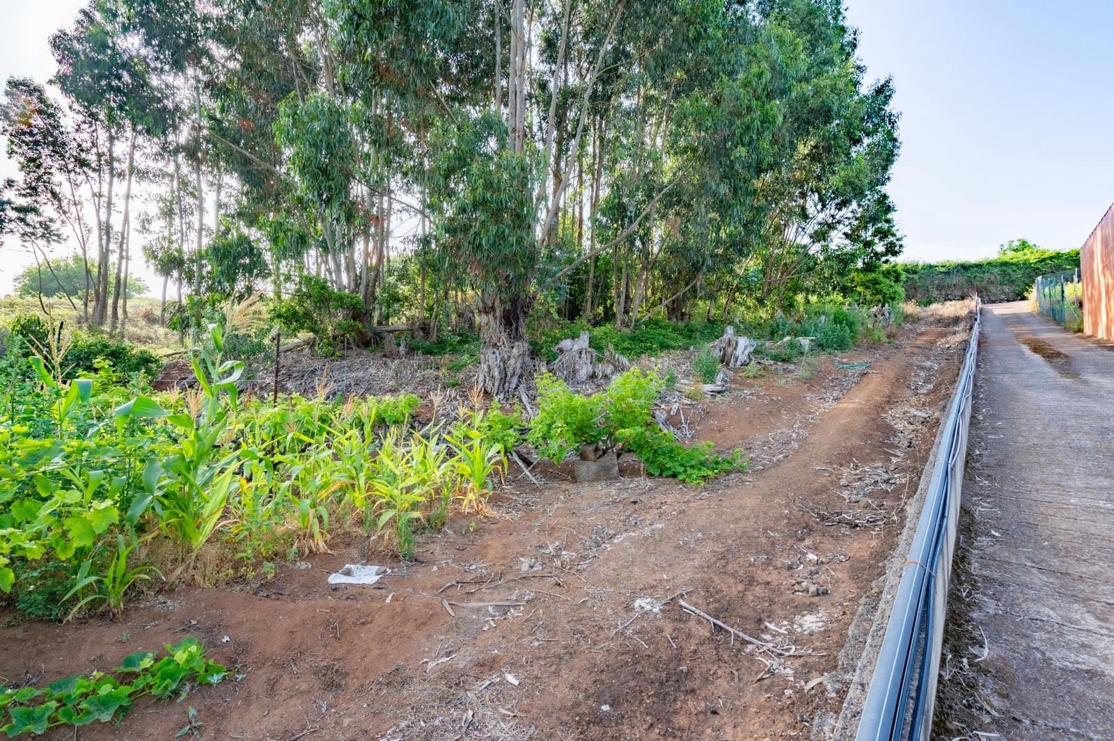 Grond te koop in Tacoronte - € 28.000 (Ref: 9104725)