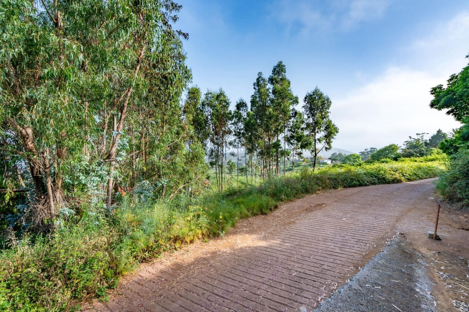 Grond te koop in Tacoronte - € 28.000 (Ref: 9104725)