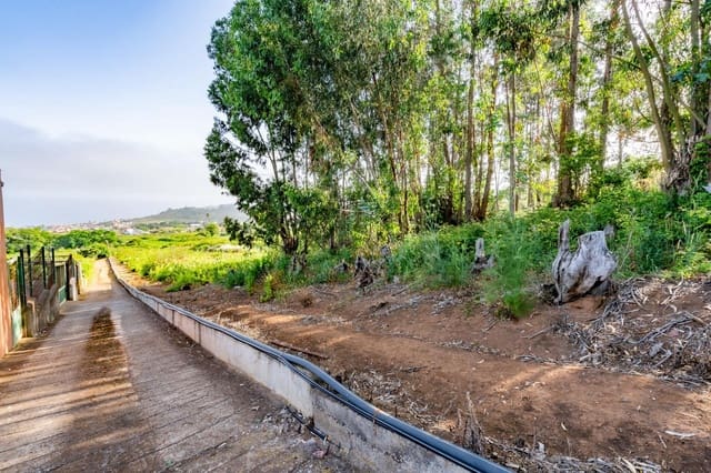 Mark till salu i Tacoronte - 28 000 € (Ref: 9104725)