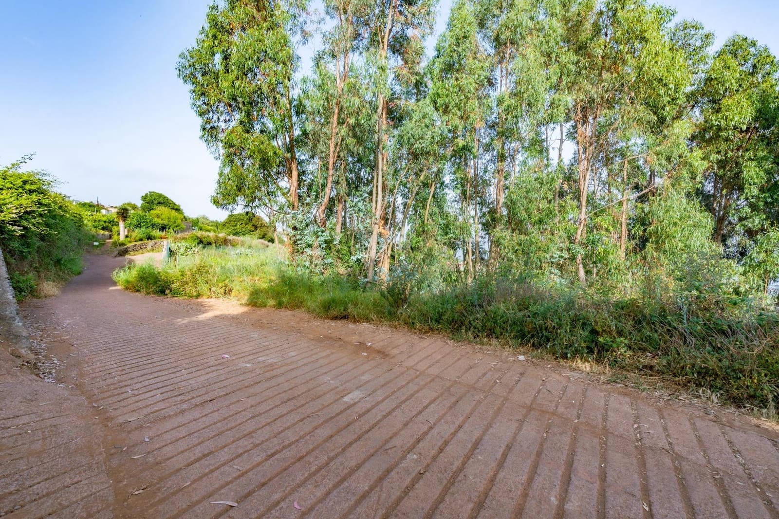 Grond te koop in Tacoronte - € 28.000 (Ref: 9104725)