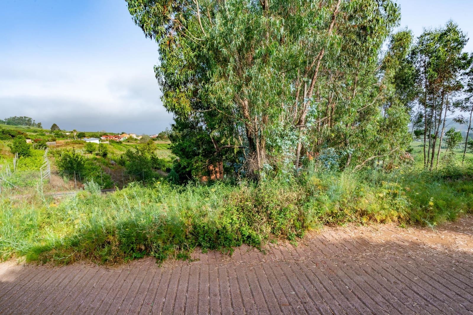 Grond te koop in Tacoronte - € 28.000 (Ref: 9104725)