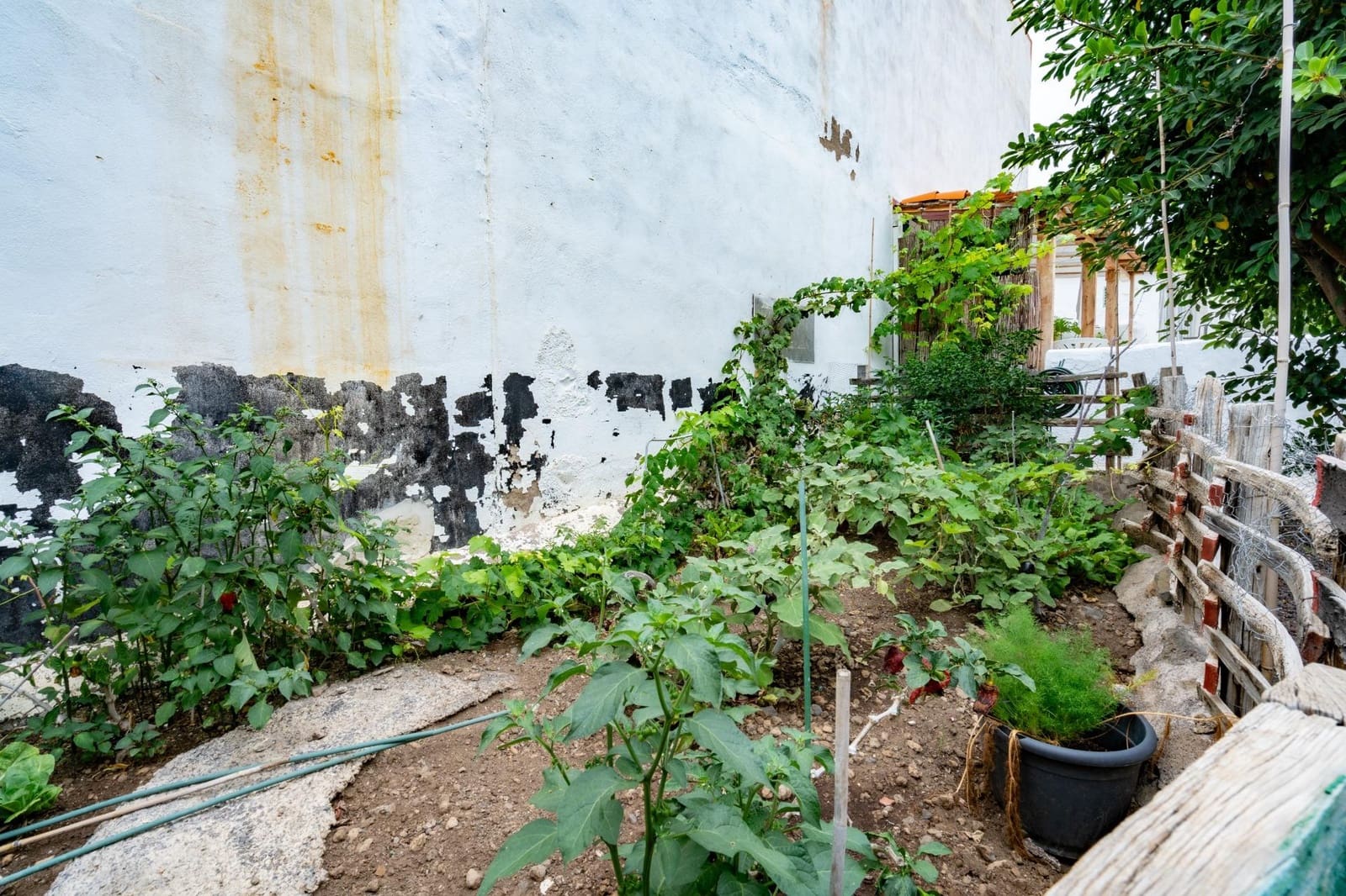 3 soveværelse Finca/Landehus til salg i Guia de Isora - € 350.000 (Ref: 9141664)