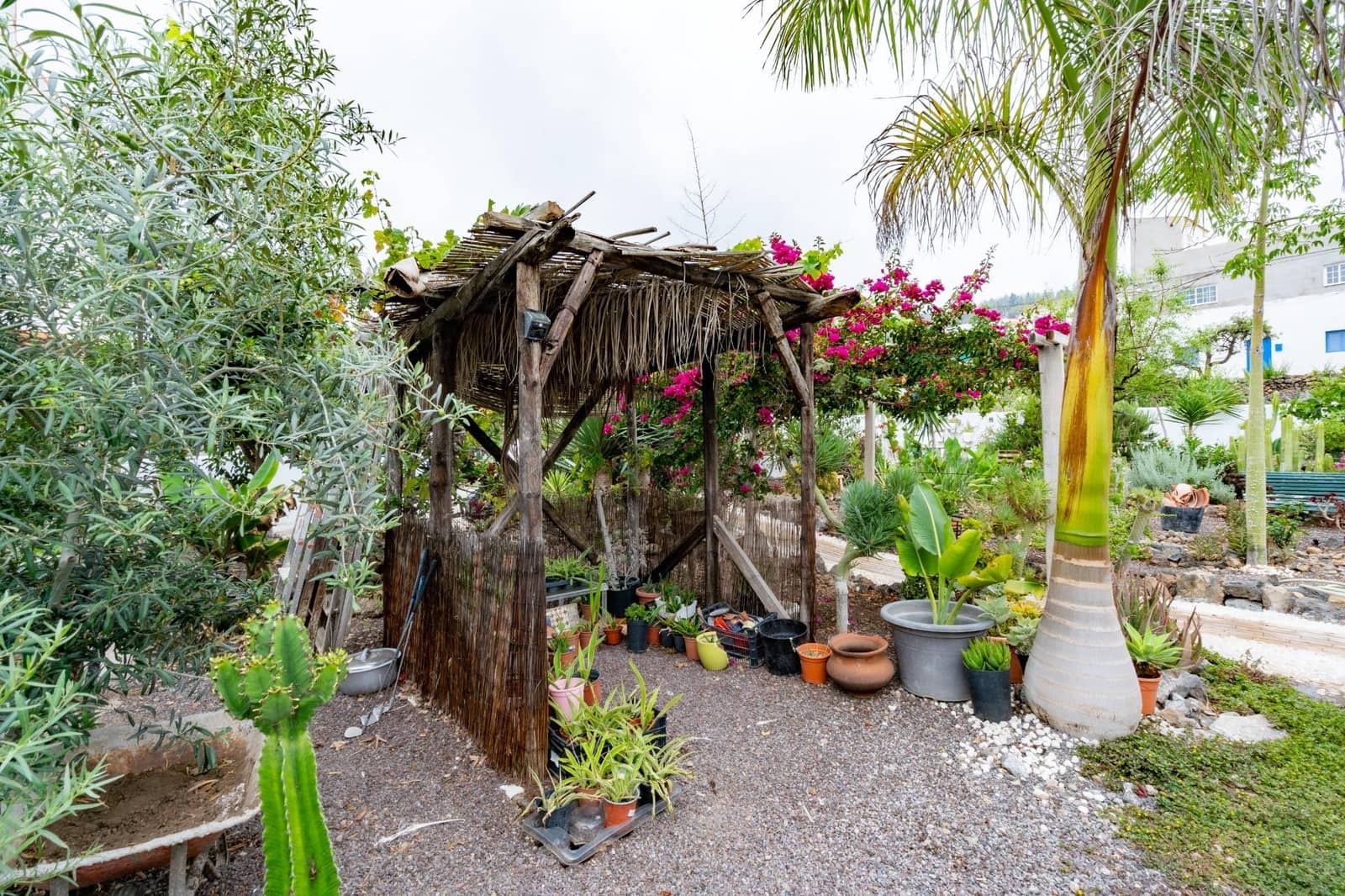 3 soveværelse Finca/Landehus til salg i Guia de Isora - € 350.000 (Ref: 9141664)