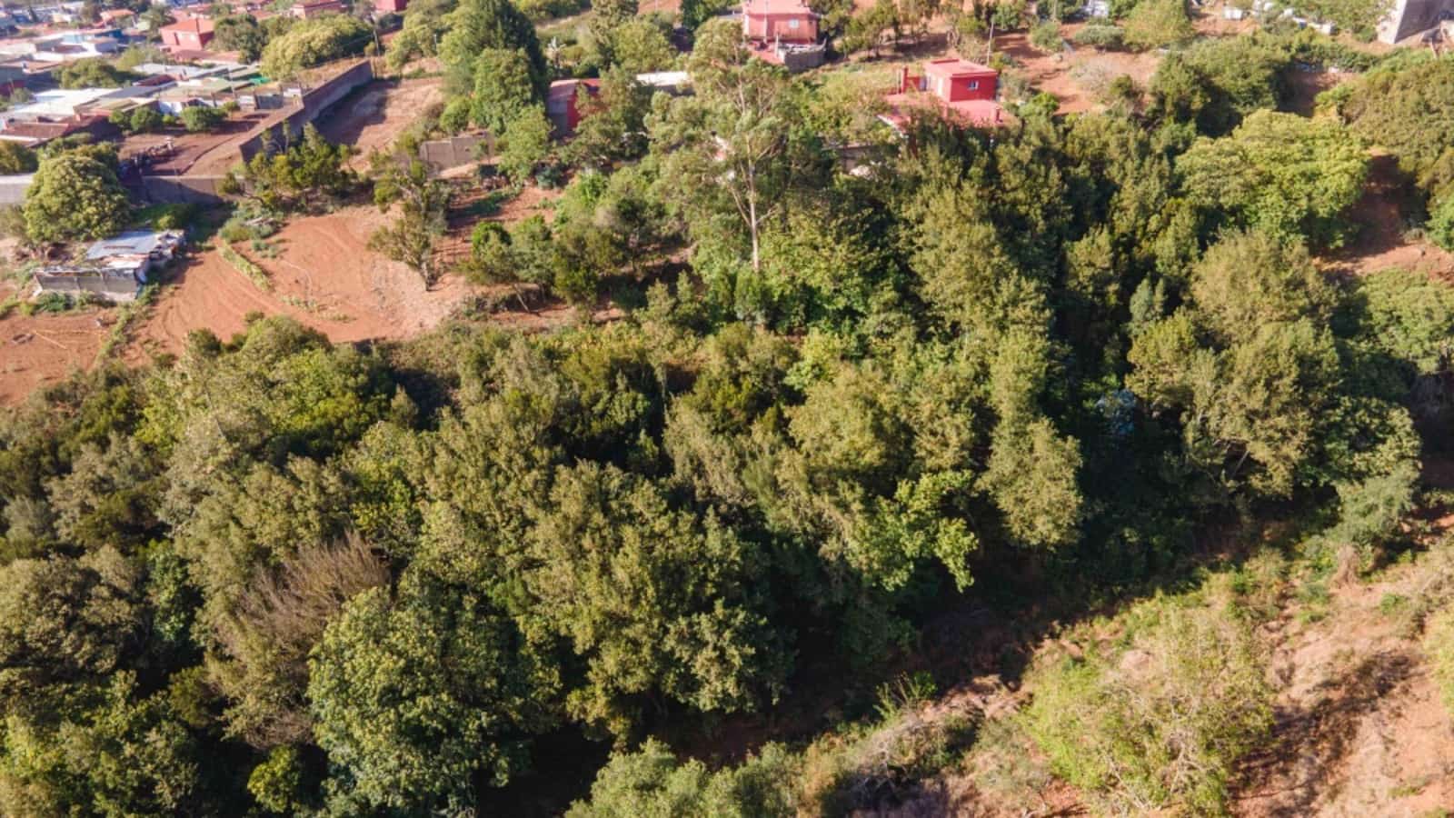 4 slaapkamer Villa te koop in La Esperanza - € 520.000 (Ref: 9191133)