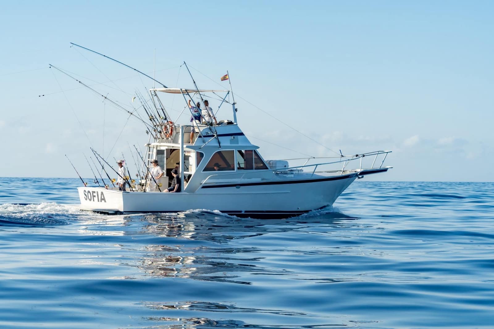 Virksomhed til leje i Los Cristianos - € 350 (Ref: 9202498)