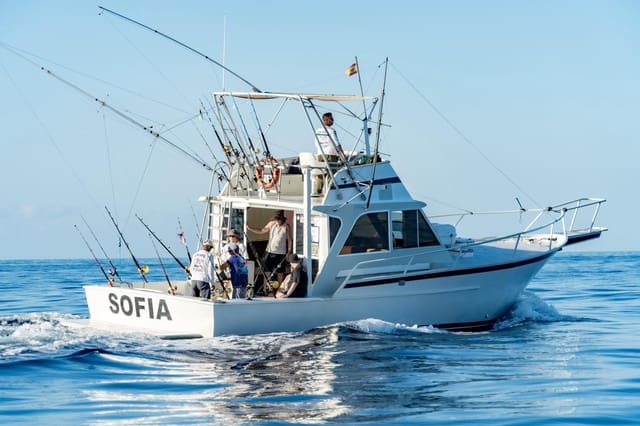 Yritys vuokrattavana paikassa Los Cristianos, Arona - 350 € (Ref: 9202498)