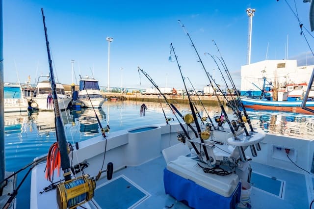 Yritys vuokrattavana paikassa Los Cristianos, Arona - 350 € (Ref: 9202498)