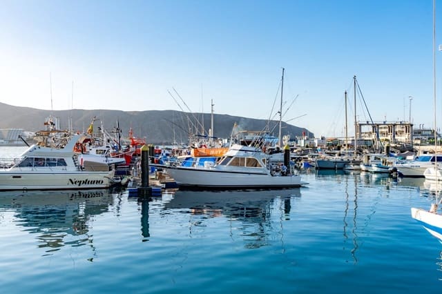 Yritys vuokrattavana paikassa Los Cristianos, Arona - 350 € (Ref: 9202498)