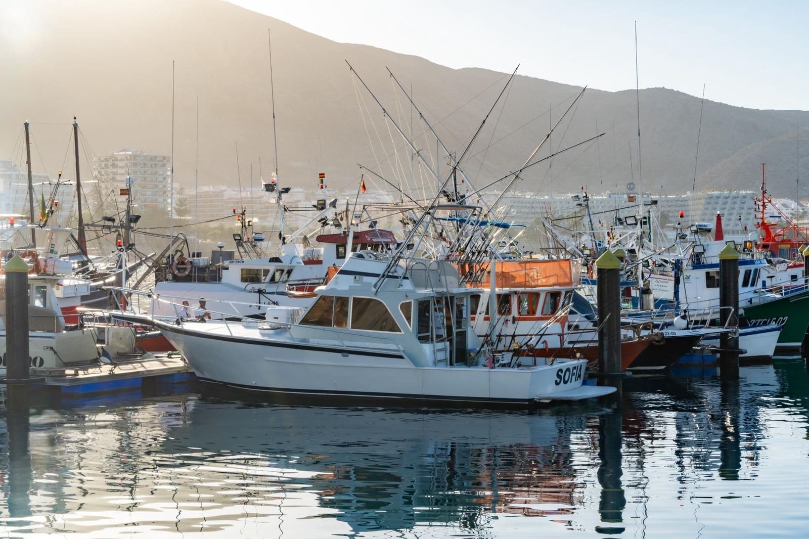 Virksomhed til leje i Los Cristianos - € 350 (Ref: 9202498)