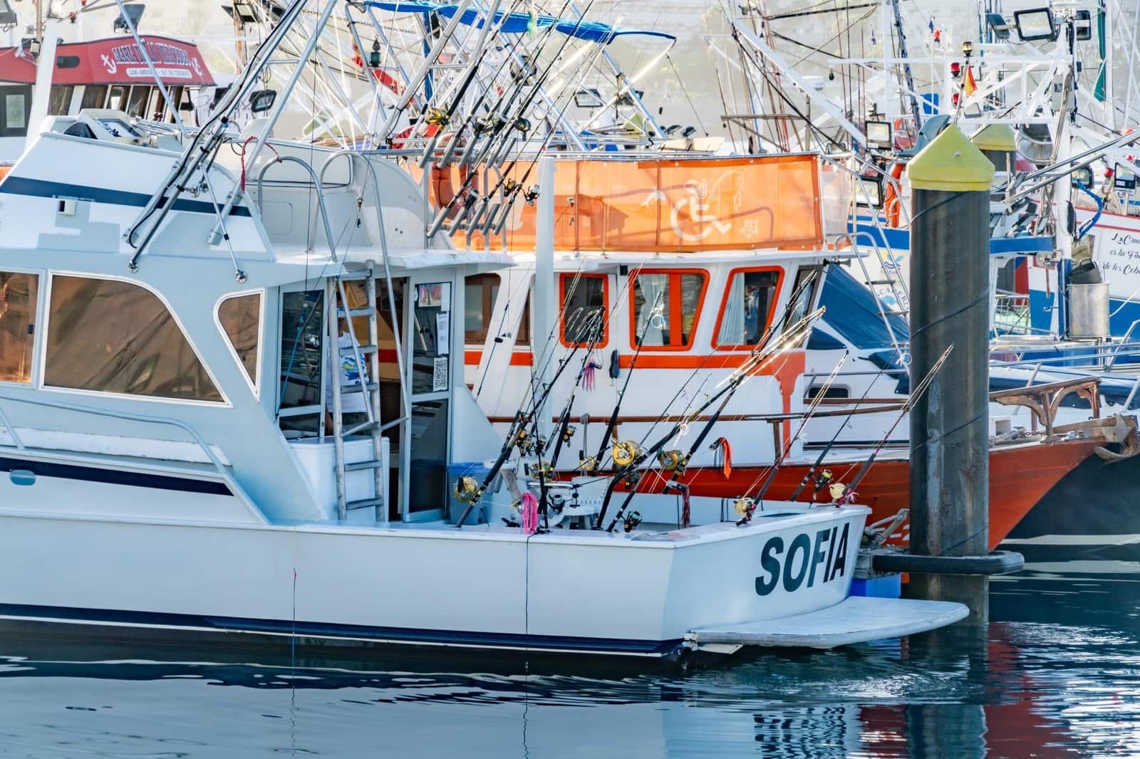 Virksomhed til leje i Los Cristianos - € 350 (Ref: 9202498)