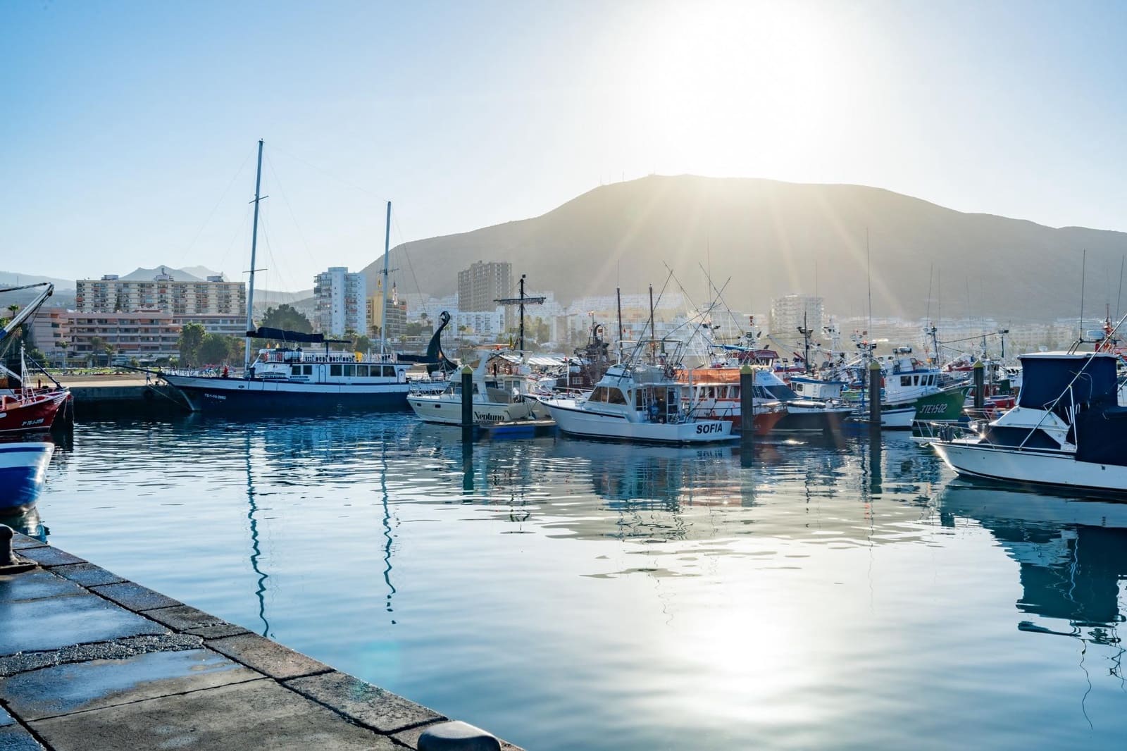 Virksomhed til leje i Los Cristianos - € 350 (Ref: 9202498)