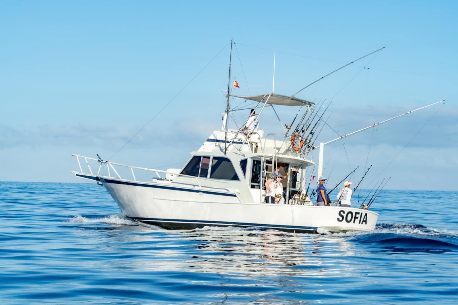 Virksomhed til leje i Los Cristianos - € 350 (Ref: 9202498)