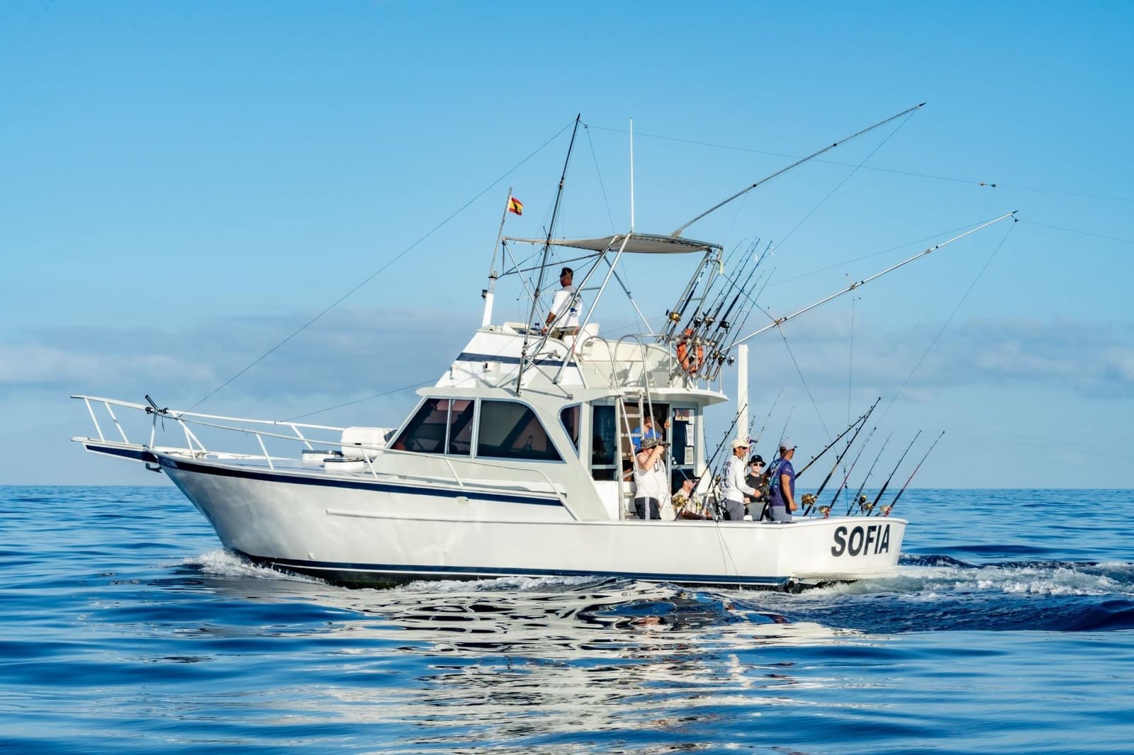 Virksomhed til leje i Los Cristianos - € 350 (Ref: 9202498)