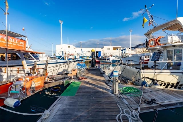 Yritys vuokrattavana paikassa Los Cristianos, Arona - 350 € (Ref: 9202498)