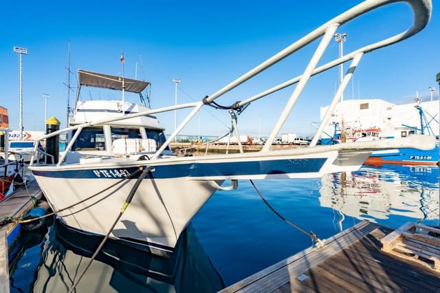 Yritys vuokrattavana paikassa Los Cristianos, Arona - 350 € (Ref: 9202498)