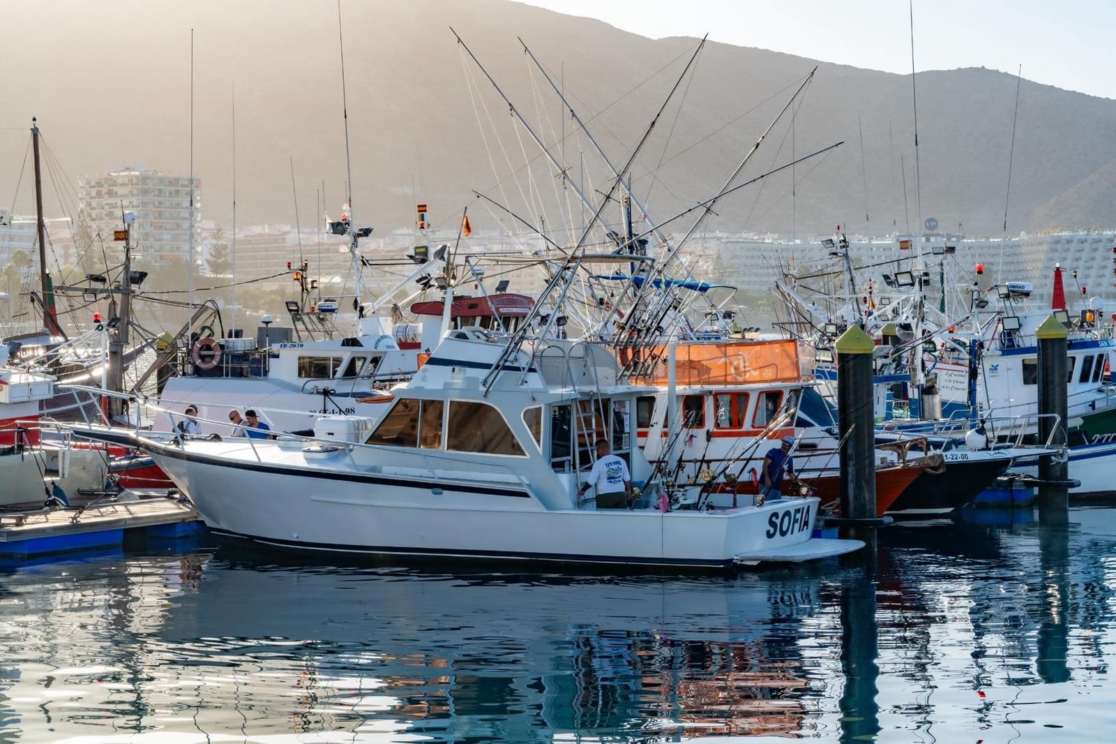 Virksomhed til leje i Los Cristianos - € 350 (Ref: 9202498)