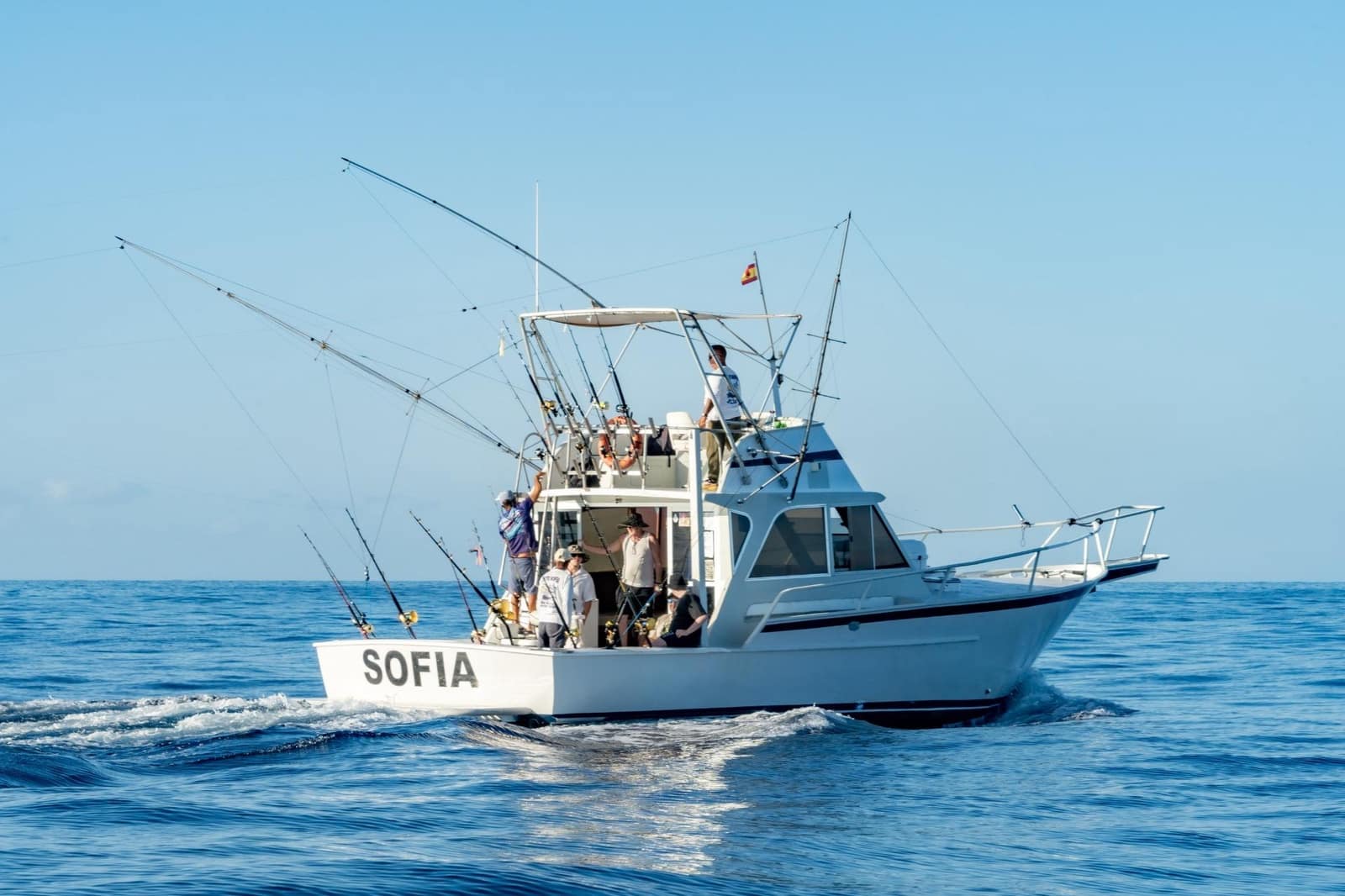 Virksomhed til leje i Los Cristianos - € 350 (Ref: 9202498)