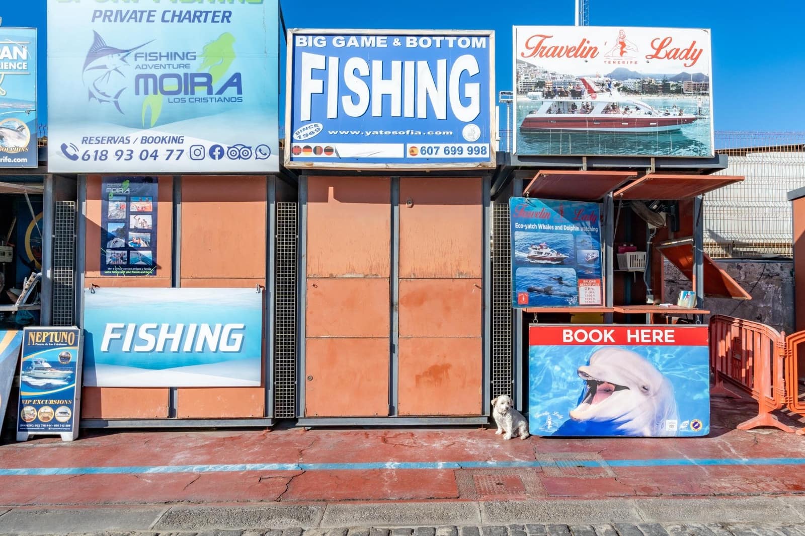 Virksomhed til leje i Los Cristianos - € 350 (Ref: 9202498)