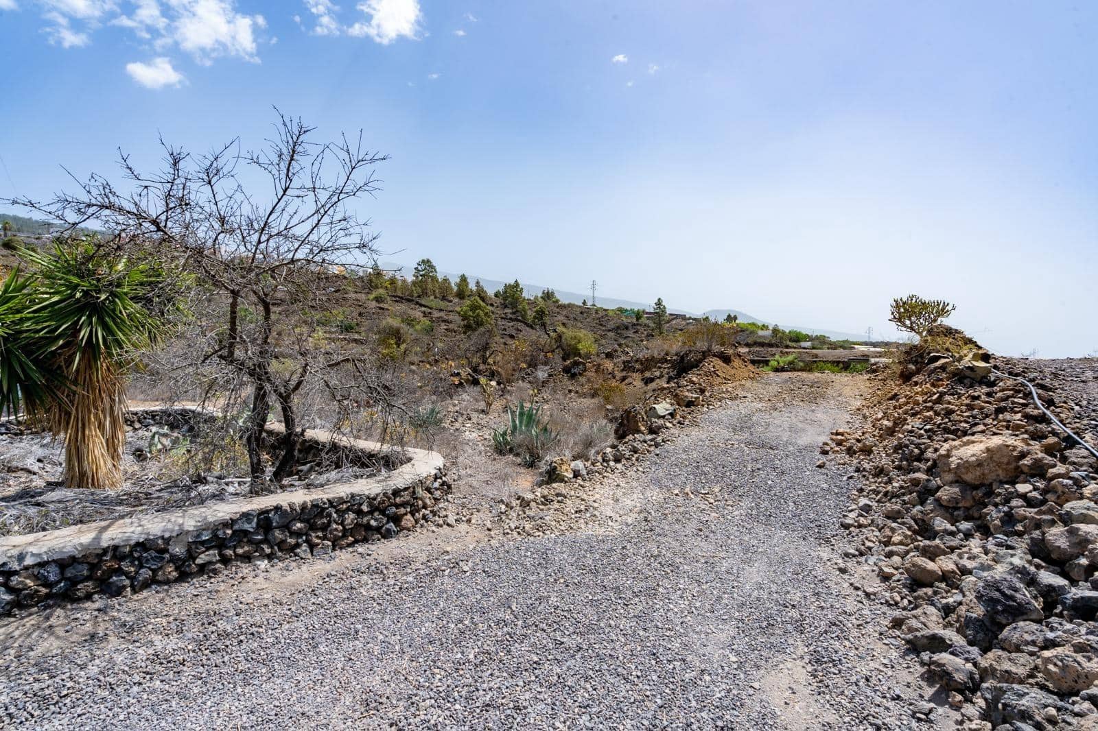 Mark till salu i Guia de Isora - 85 000 € (Ref: 9243028)